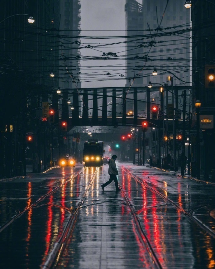 雨后的多伦多风景图片繁华落尽的孤单