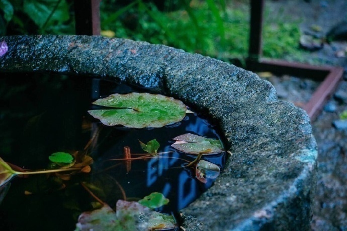 清晨入古寺,初日照高林杭州灵隐寺风景图片