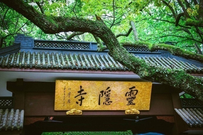 清晨入古寺,初日照高林杭州灵隐寺风景图片