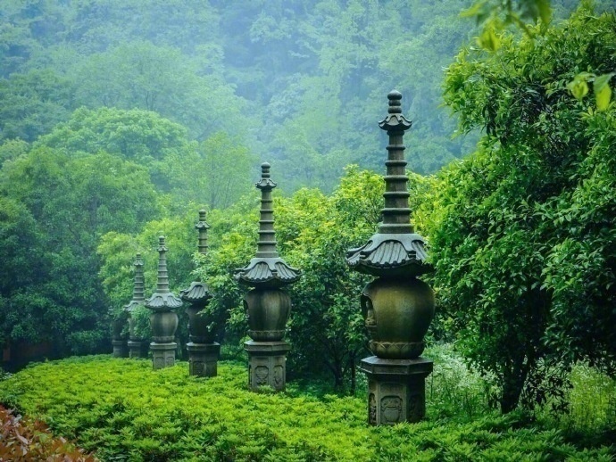 清晨入古寺,初日照高林杭州灵隐寺风景图片