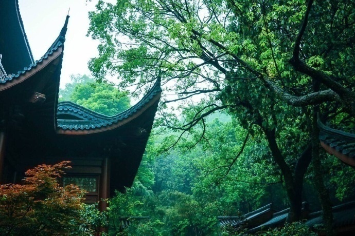 清晨入古寺,初日照高林杭州灵隐寺风景图片