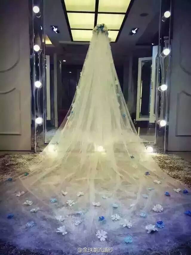 美丽的新娘头纱图片