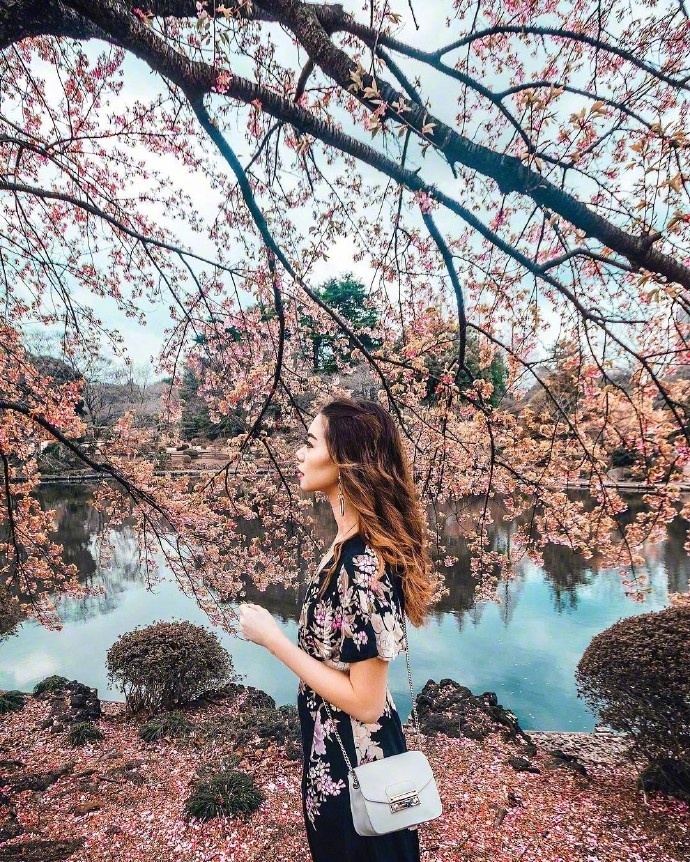 日本旅行图片