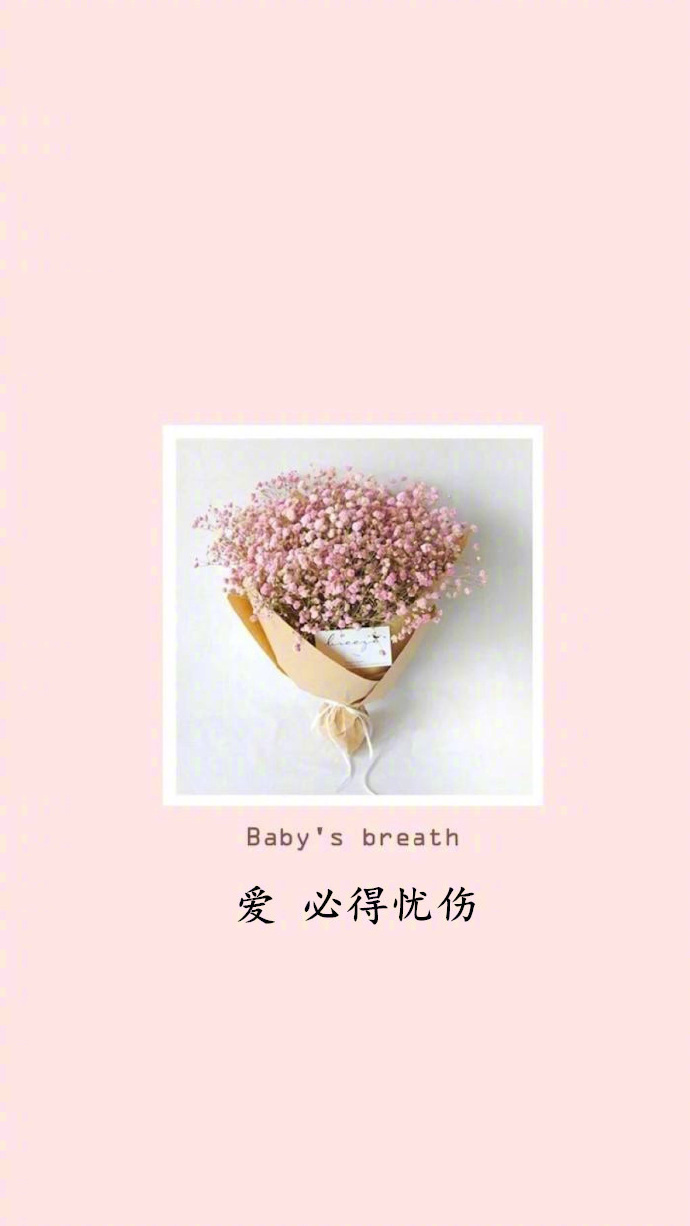 唯美文字壁纸图片:喜欢就像一阵风而爱是细水长
