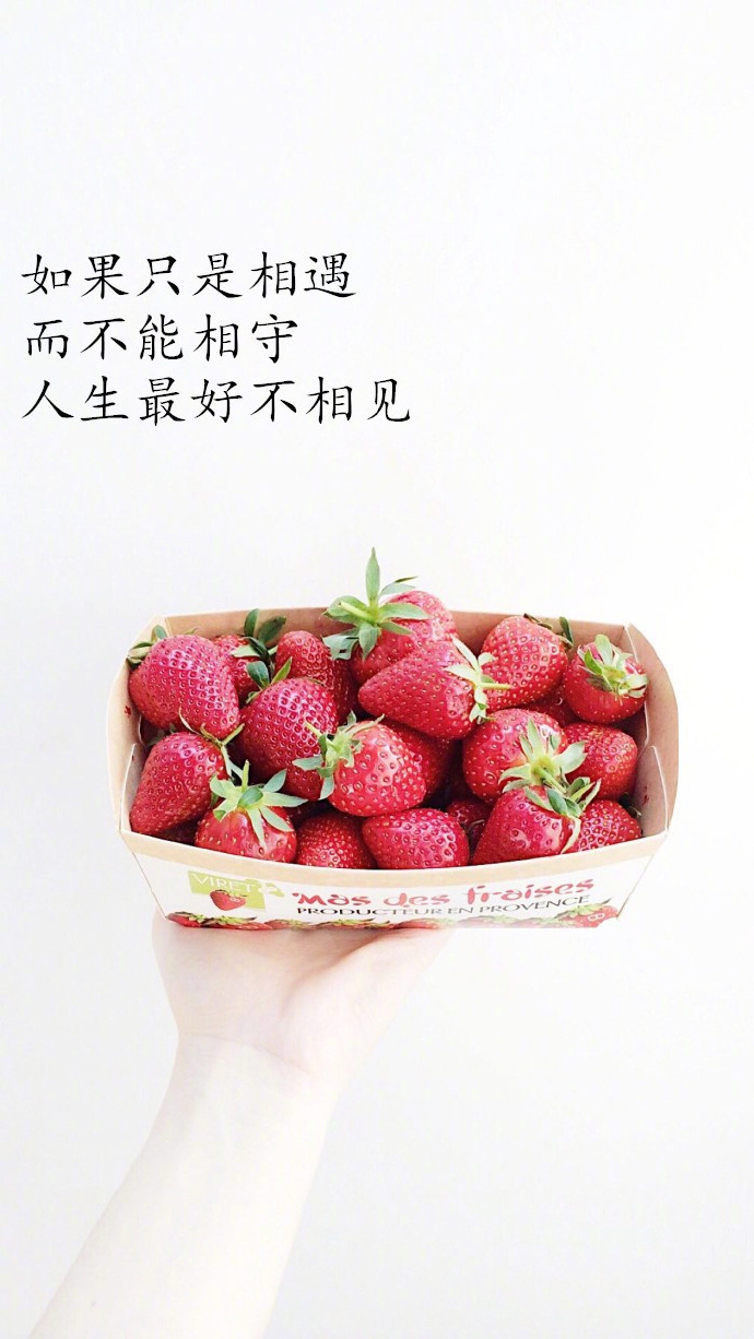 唯美文字壁纸图片:喜欢就像一阵风而爱是细水长