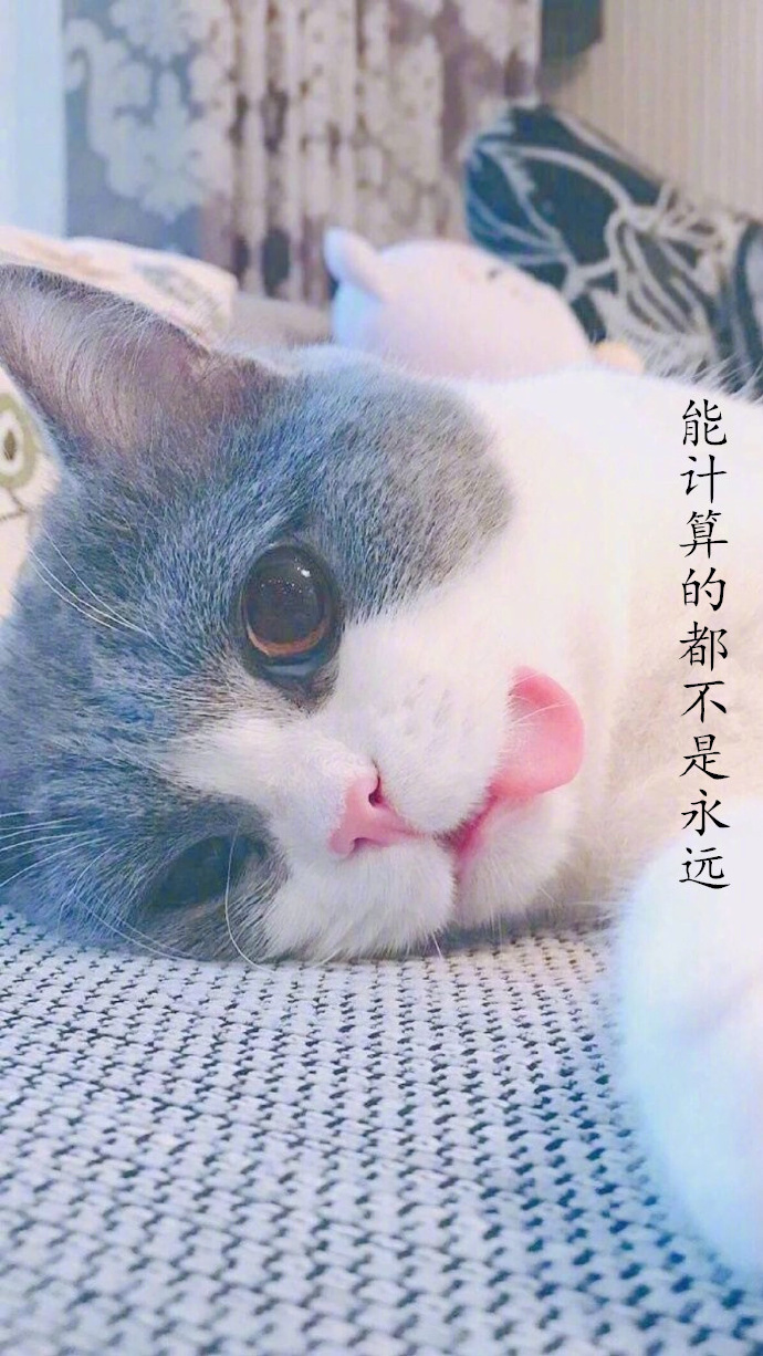 唯美文字壁纸图片:喜欢就像一阵风而爱是细水长