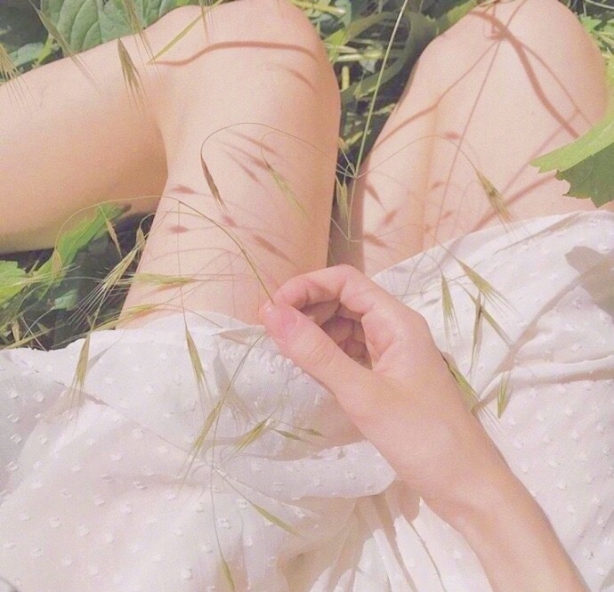 唯美背景图片_粉色手机壁纸