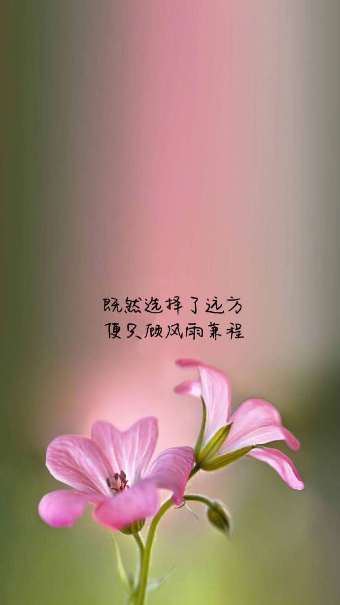 唯美文字壁纸图片_带字图片大全