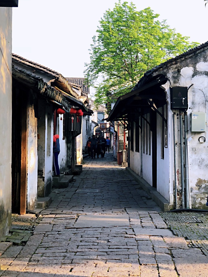 周庄清晨的小镇上安静而祥和的美景图片