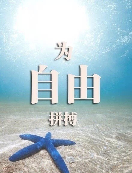 唯美文字图片:有些事情不是看到希望才去坚持