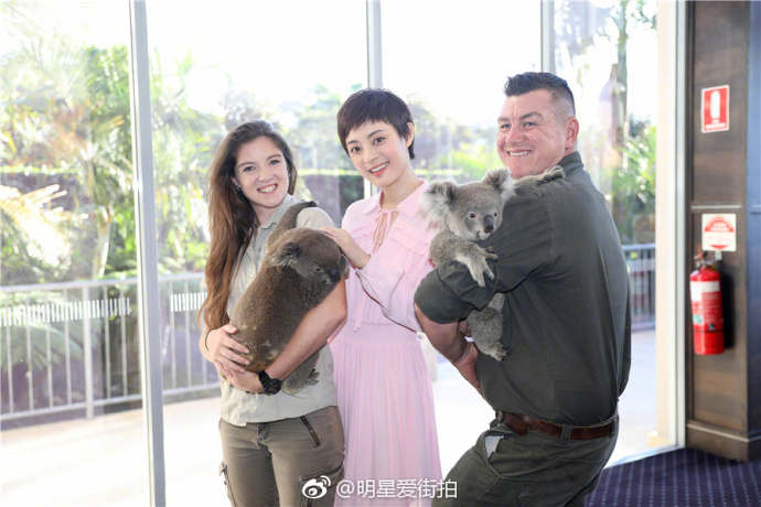 上海美女演员孙俪小粉裙悉尼出席活动温柔又浪