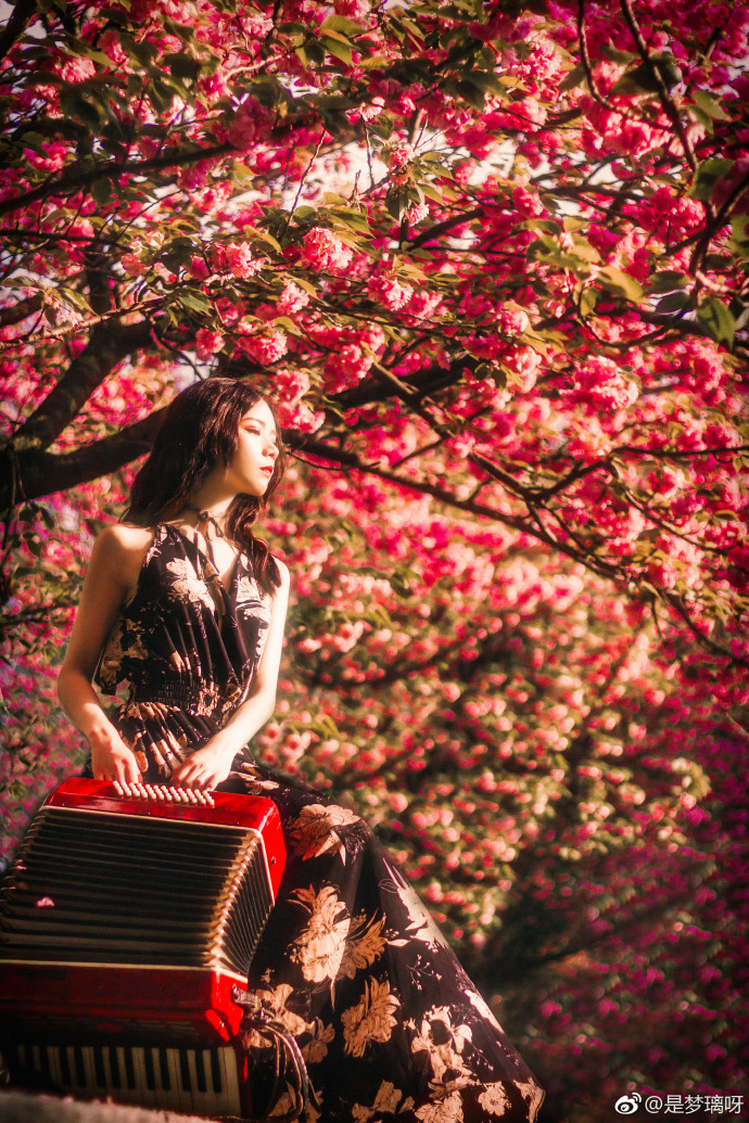 清纯美女言沁同学- 樱花树下唯美写真