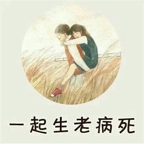 最理想的婚姻表情包图片