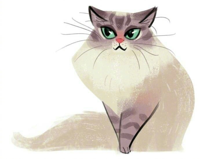 猫咪插画图片
