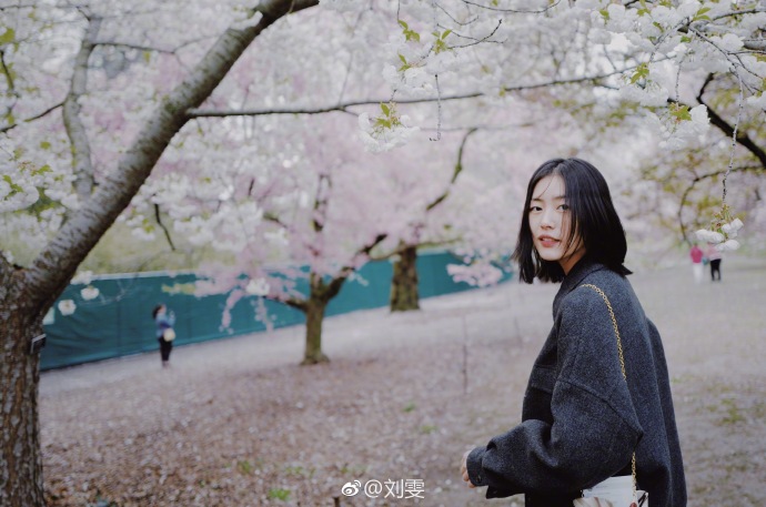 国际超模大表姐刘雯樱花树下唯美写真