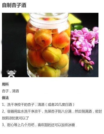 9款自酿水果酒的做法