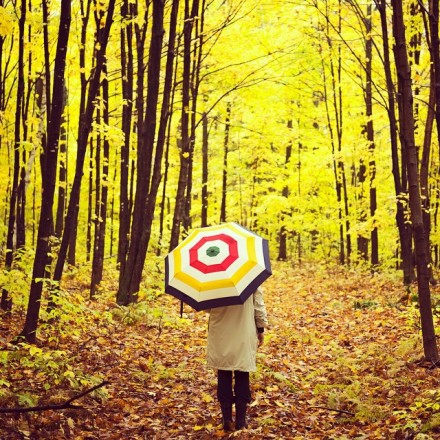 唯美秋季落叶风景图片