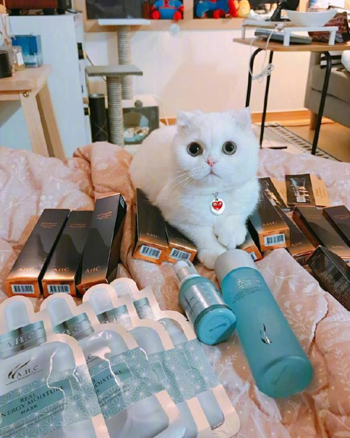 铲屎官日常吸猫图片_铲屎官快看过了