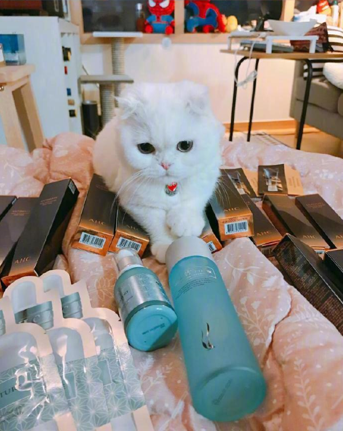 铲屎官日常吸猫图片_铲屎官快看过了