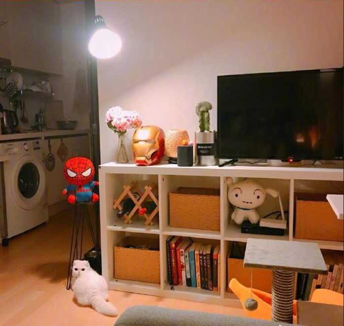 铲屎官日常吸猫图片_铲屎官快看过了