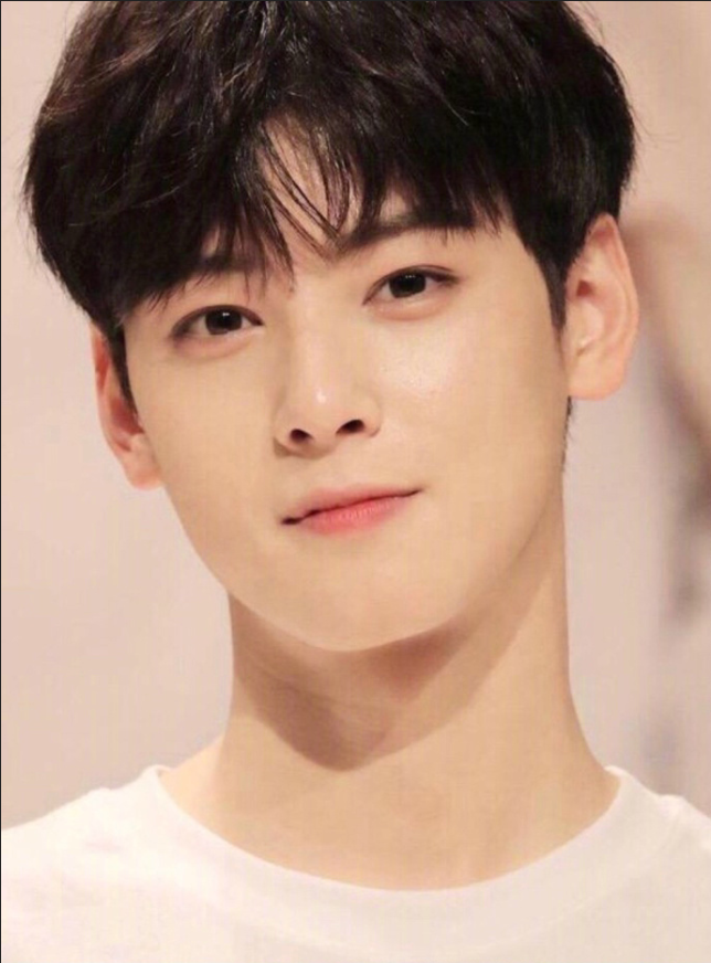 韩国男明星帅哥车银优Cha EunWoo阳光帅气图片