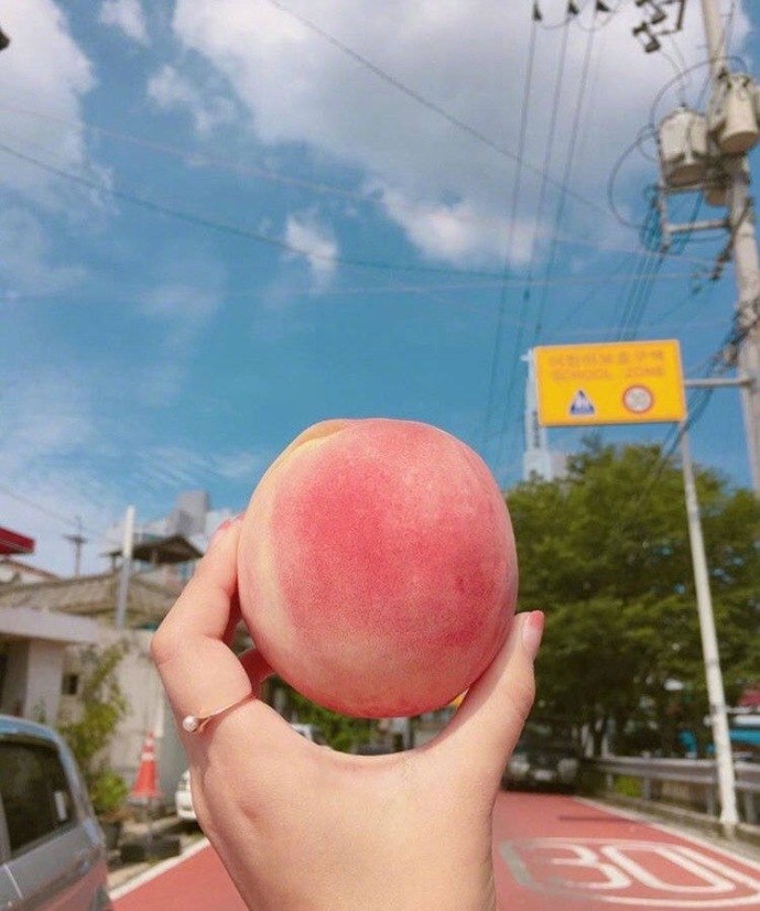 水蜜桃你怎么吃,你爱脆的还是软的呢,我反正爱吃
