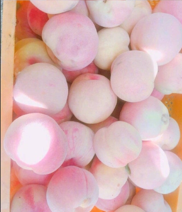 水蜜桃你怎么吃,你爱脆的还是软的呢,我反正爱吃