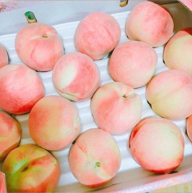 水蜜桃你怎么吃,你爱脆的还是软的呢,我反正爱吃