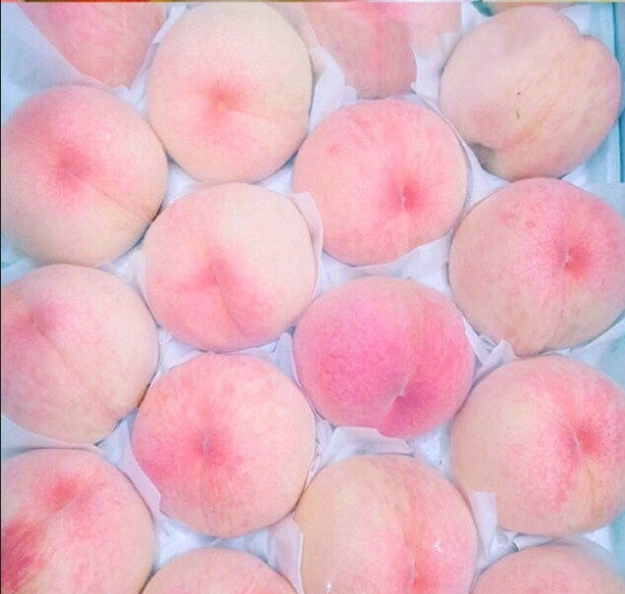 水蜜桃你怎么吃,你爱脆的还是软的呢,我反正爱吃