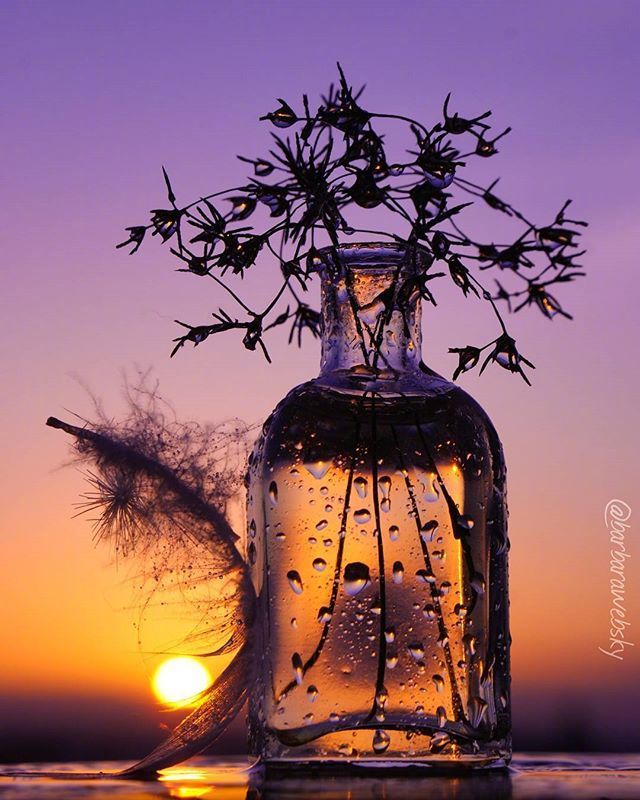 唯美意境图片:希望醒来能做个洒脱的人忘掉旧的