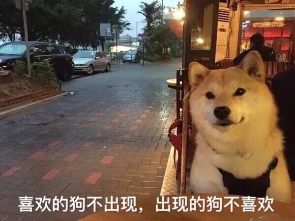 祝单身狗七夕快乐,喜欢的狗不出现,出现的狗不喜