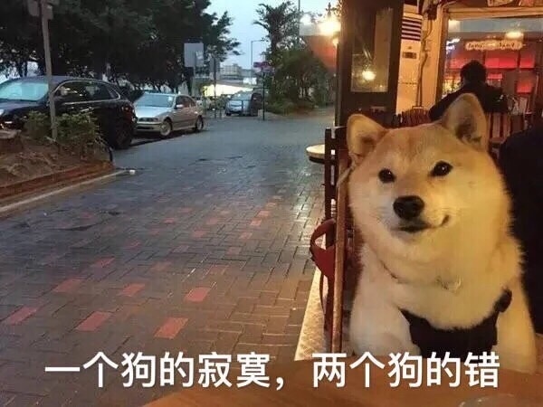 祝单身狗七夕快乐,喜欢的狗不出现,出现的狗不喜