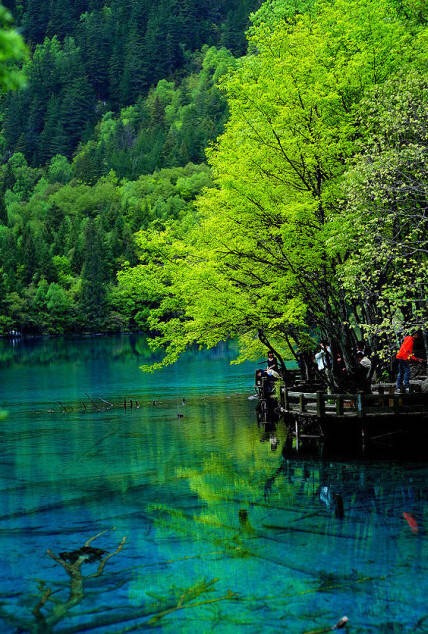 九寨沟梦一般美的地方_九寨沟风景图片