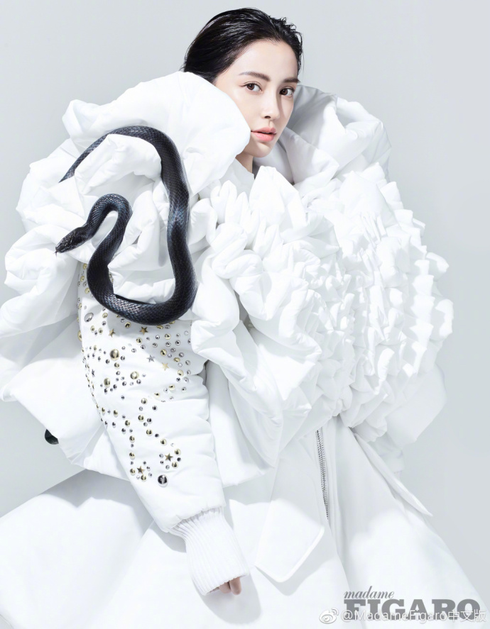 angelababy图片_大眼美女明星angelababy蛇蝎美人图片