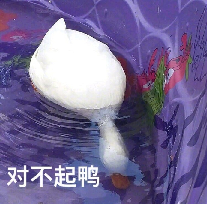 萌萌哒小鸭子表情包比心_开心鸭图片