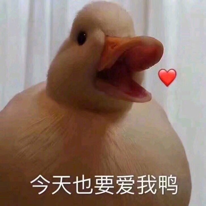 萌萌哒小鸭子表情包比心_开心鸭图片