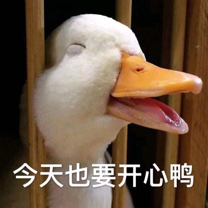 萌萌哒小鸭子表情包比心_开心鸭图片