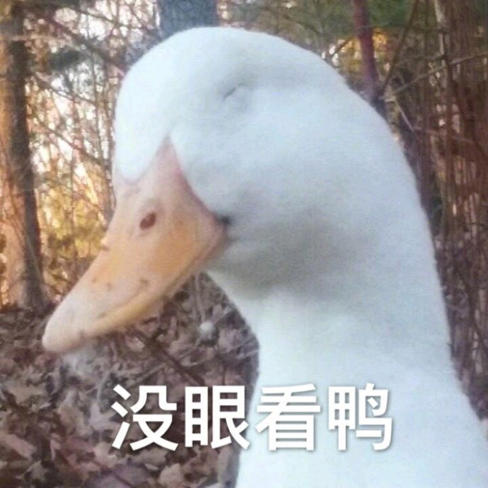 萌萌哒小鸭子表情包比心_开心鸭图片