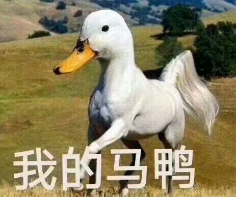 萌萌哒小鸭子表情包比心_开心鸭图片