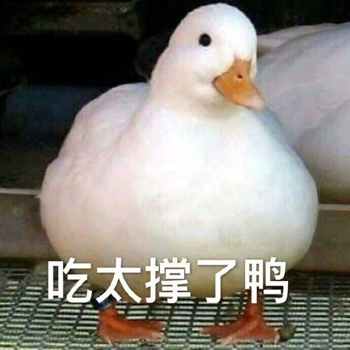 萌萌哒小鸭子表情包比心_开心鸭图片