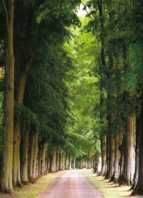 好看的自然风景图片:莫负青春,莫负旅途.