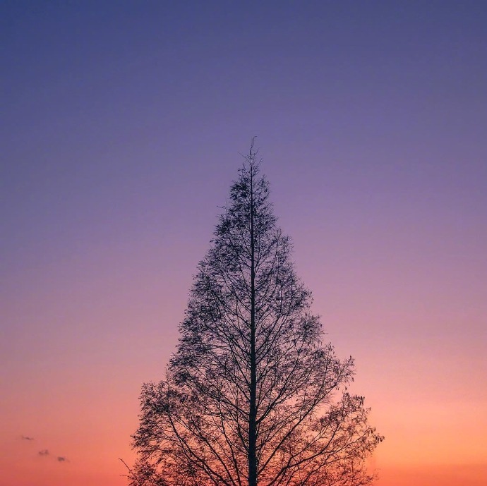 唯美夕阳图片_我喜欢落日,不管发生什么明天照样