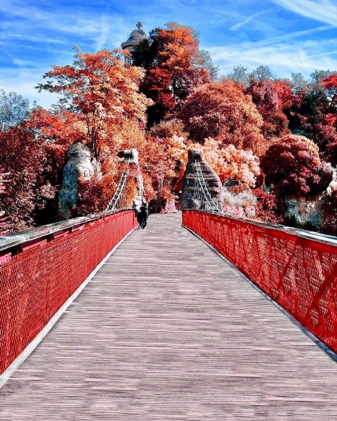 巴黎之秋红色枫叶风景图片