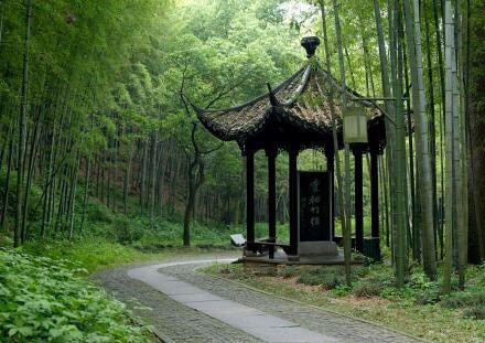 杭州最仙最静的地方云栖竹径风景图片