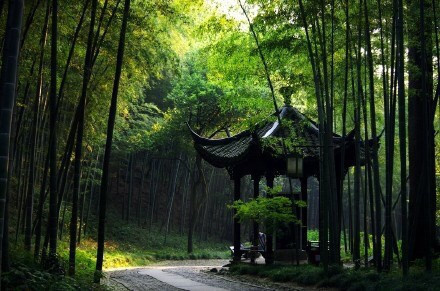 杭州最仙最静的地方云栖竹径风景图片