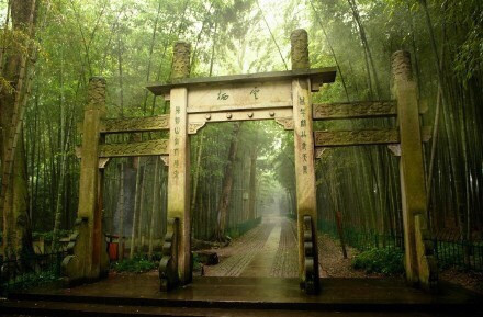 杭州最仙最静的地方云栖竹径风景图片