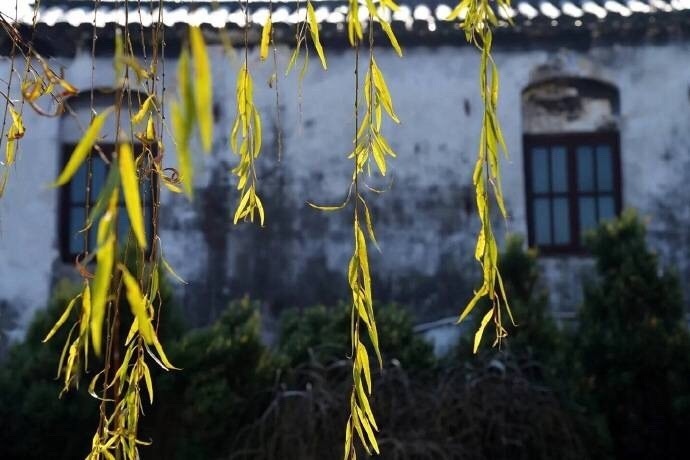 唯美江南风景图片