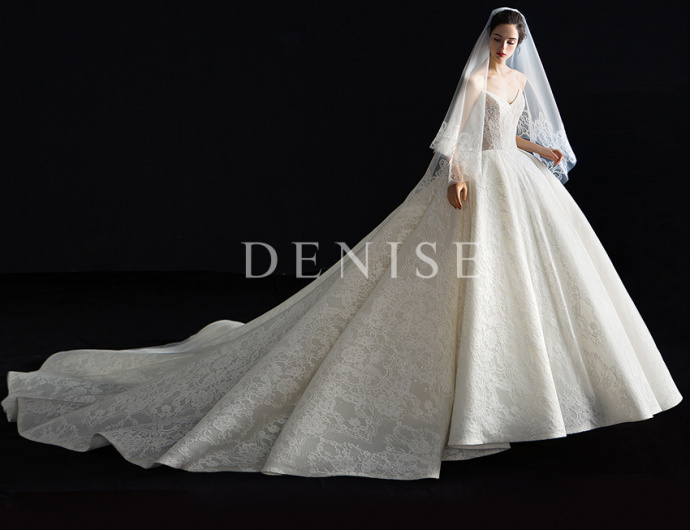 DENISE新款婚纱礼服图片