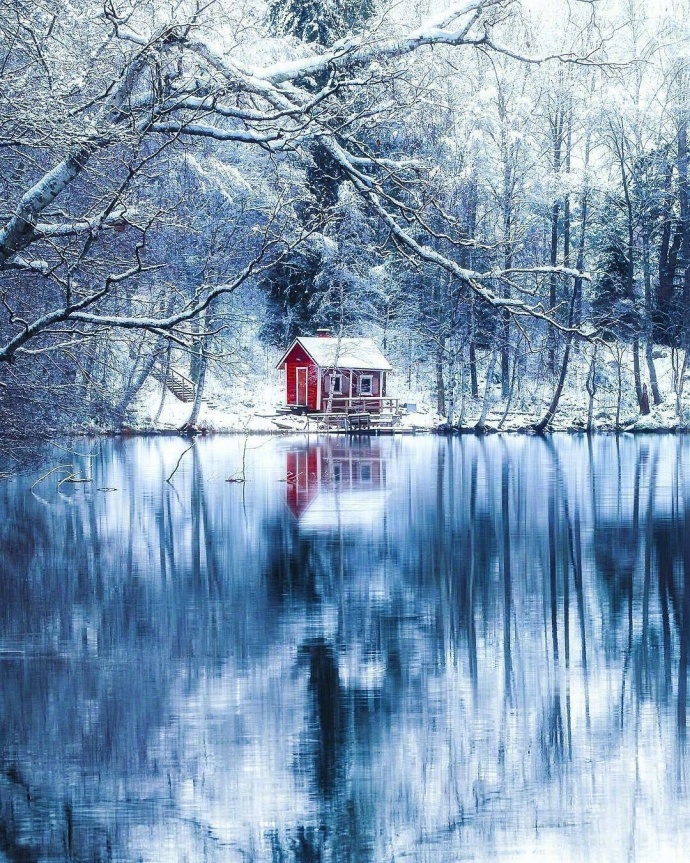 芬兰的雪白世界风景图片
