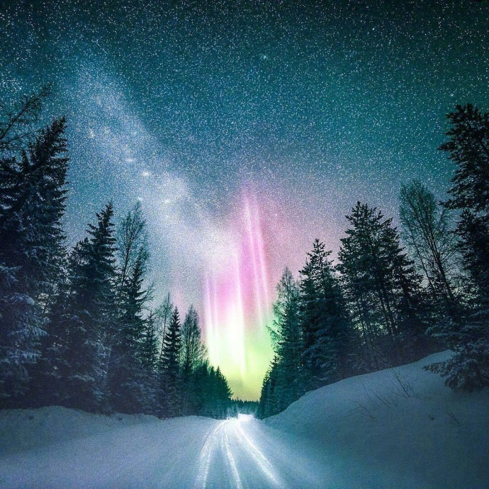 芬兰的雪白世界风景图片